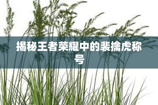 揭秘王者荣耀中的裴擒虎称号图片