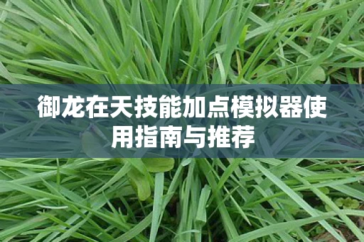 御龙在天技能加点模拟器使用指南与推荐图片