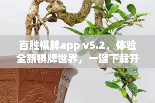 百胜棋牌app v5图片
