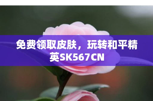 玩转和平精英SK567CN图片