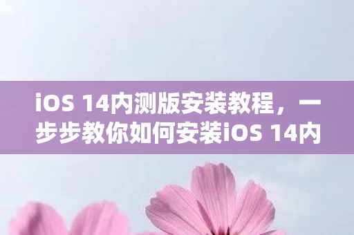 一步步教你如何安装iOS 14内测系统图片