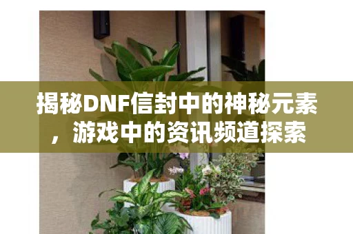 揭秘DNF信封中的神秘元素图片
