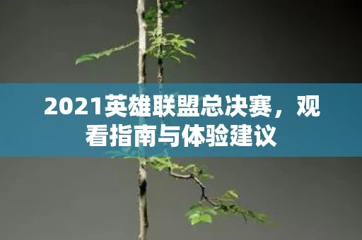 2021英雄联盟总决赛图片