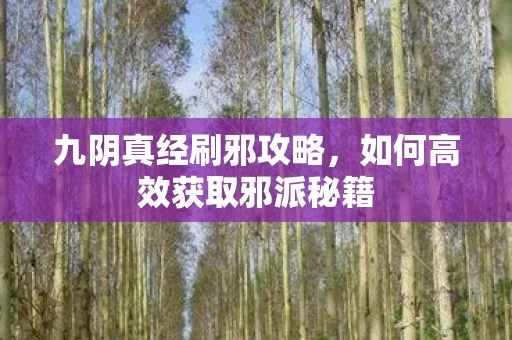 如何高效获取邪派秘籍图片