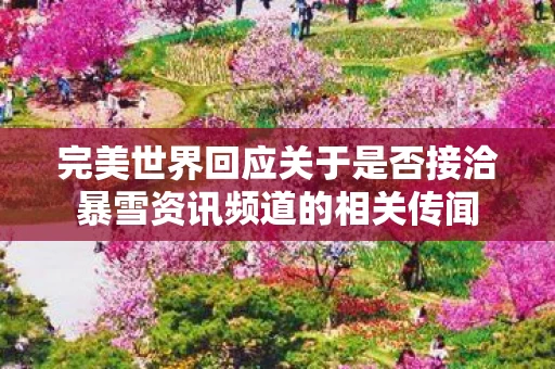 完美世界回应关于是否接洽暴雪资讯频道的相关传闻图片