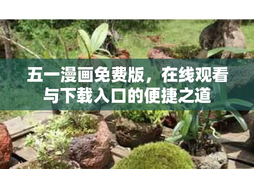 在线观看与下载入口的便捷之道图片