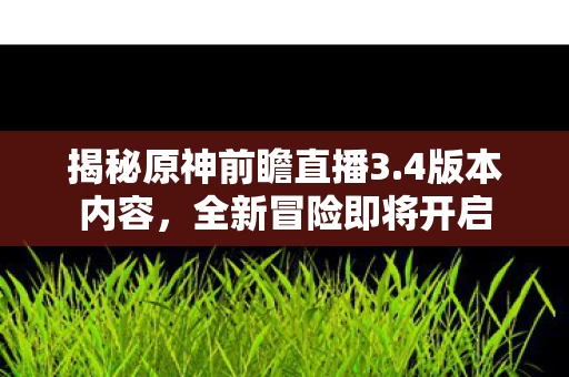 揭秘原神前瞻直播3图片