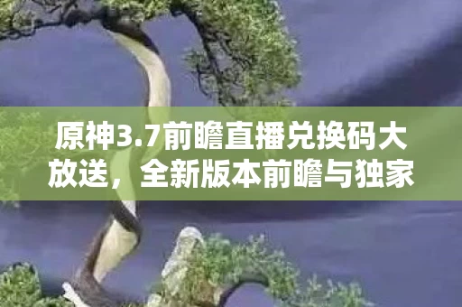 全新版本前瞻与独家福利来袭图片