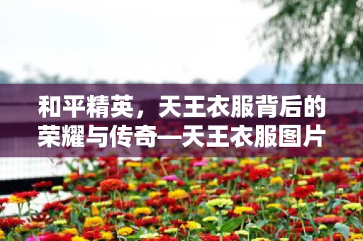天王衣服背后的荣耀与传奇图片