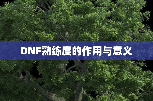 DNF熟练度的作用与意义图片