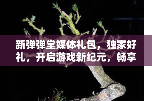 畅享无与伦比的游戏体验图片