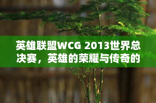 英雄联盟WCG 2013世界总决赛图片