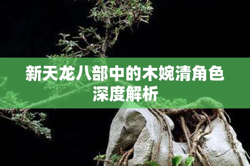 新天龙八部中的木婉清角色深度解析图片