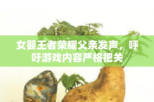 女婴王者荣耀父亲发声图片