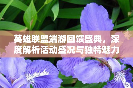 深度解析活动盛况与独特魅力图片