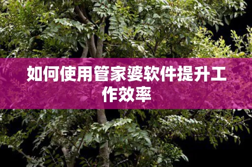 如何使用管家婆软件提升工作效率图片