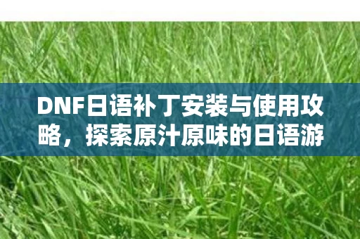 DNF日语补丁安装与使用攻略图片