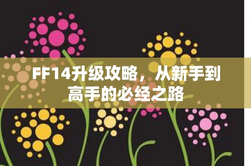 从新手到高手的必经之路图片