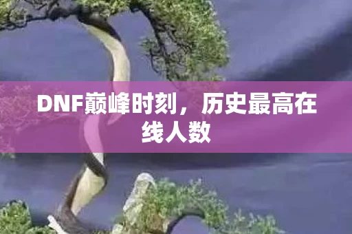 历史最高在线人数图片
