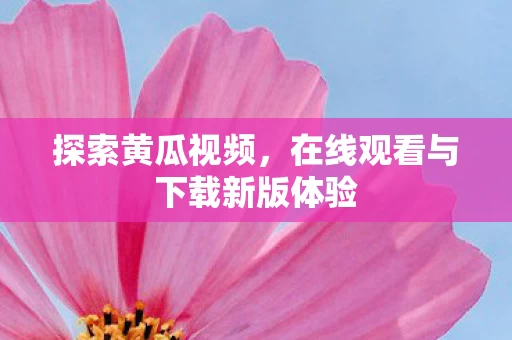 在线观看与下载新版体验图片