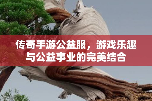 游戏乐趣与公益事业的完美结合图片