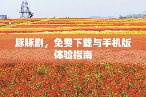 免费下载与手机版体验指南图片