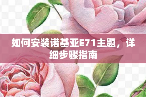 如何安装诺基亚E71主题图片