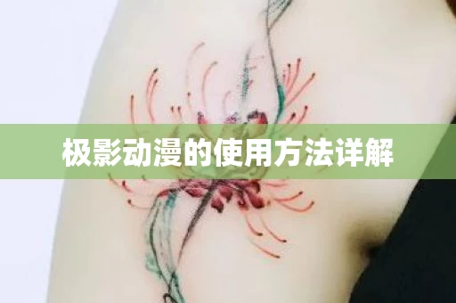 极影动漫的使用方法详解图片