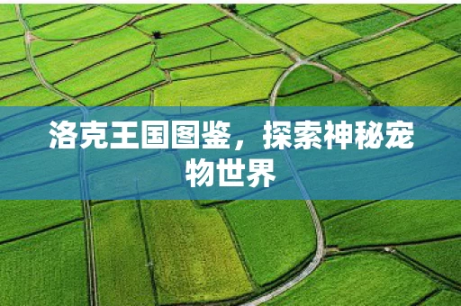 探索神秘宠物世界图片