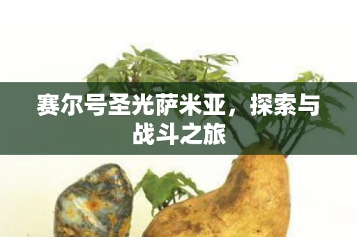 赛尔号圣光萨米亚图片