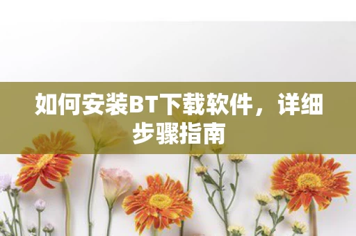 如何安装BT下载软件图片
