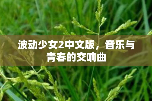音乐与青春的交响曲图片