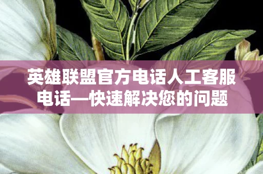 英雄联盟官方电话人工客服电话图片