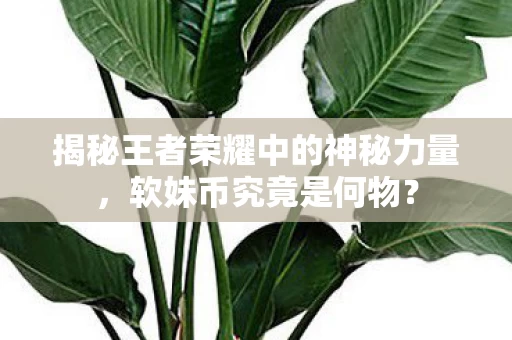 揭秘王者荣耀中的神秘力量图片