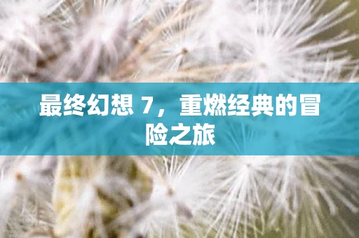 重燃经典的冒险之旅图片