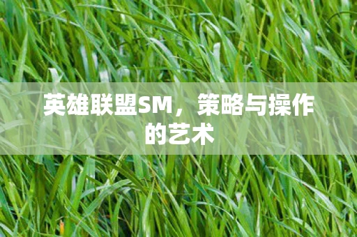 策略与操作的艺术图片