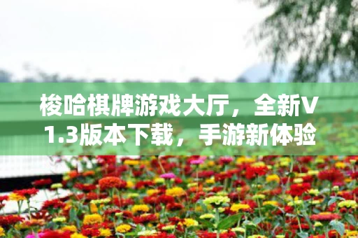 梭哈棋牌游戏大厅图片