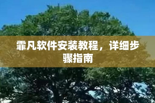 霏凡软件安装教程图片