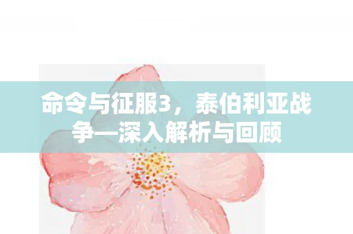 深入解析与回顾图片