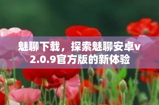 探索魅聊安卓v2图片