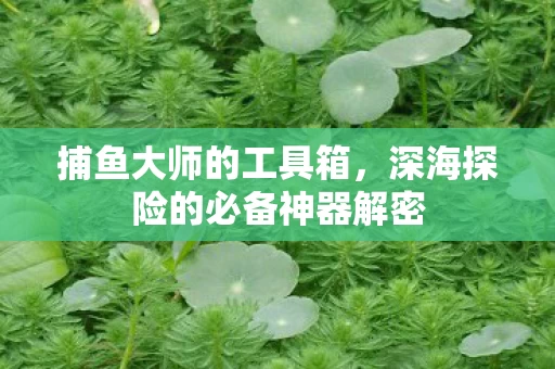深海探险的必备神器解密图片