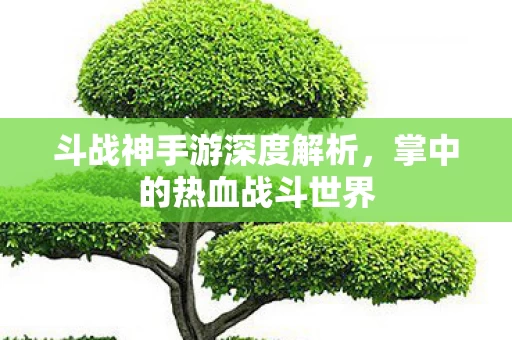斗战神手游深度解析图片