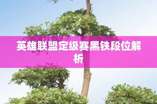 英雄联盟定级赛黑铁段位解析图片