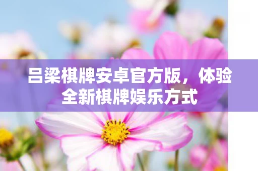 体验全新棋牌娱乐方式图片
