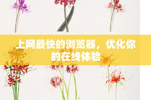 上网最快的浏览器图片