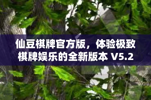 体验极致棋牌娱乐的全新版本 V5图片