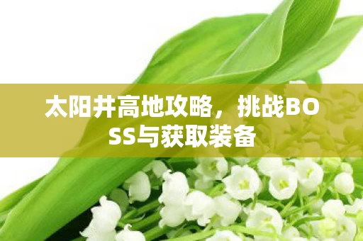 挑战BOSS与获取装备图片