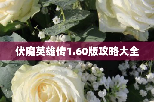 60版攻略大全图片