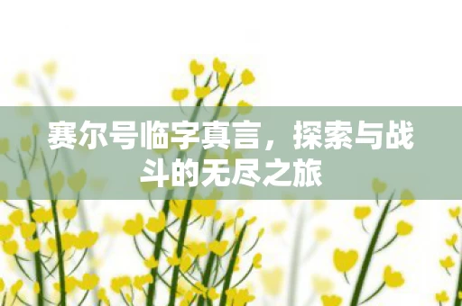 探索与战斗的无尽之旅图片