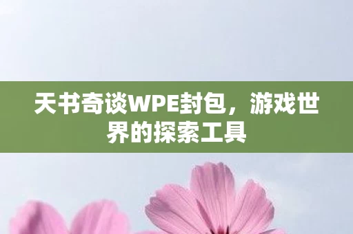 天书奇谈WPE封包图片